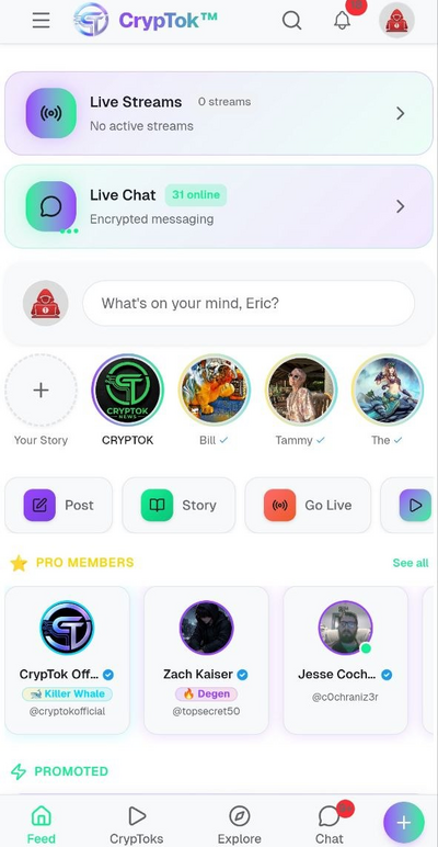 News Feed